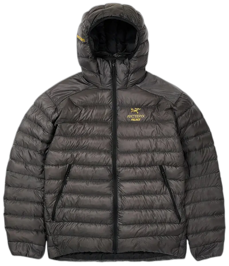 Palace x Arc'Teryx Cerium LT Hoodie Grey